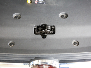 2019ܰ 1.5TI Ԅh V 