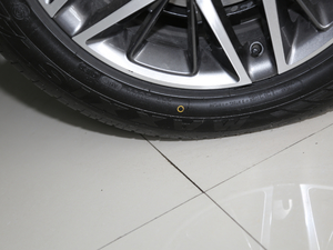 2019ܰ 401km (lin)I ݆̥Ʒ