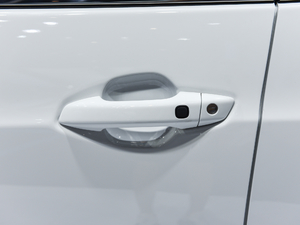2020款1.5L CVT尊贵型 主驾门拉手
