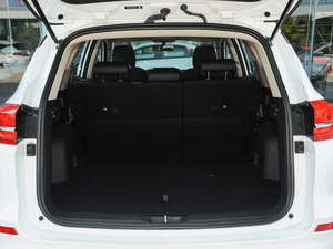 2020 1.5T ԄӾӢ g