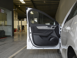 2020款超越版 1.5TI 手动豪华型 驾驶位车门