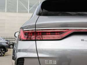 2021款EV 旗舰型 细节外观
