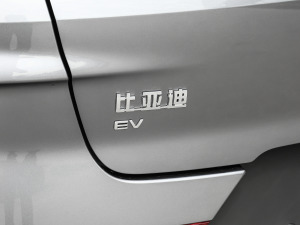 2021款EV 旗舰型 细节外观