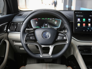 2021款EV 旗舰型 方向盘