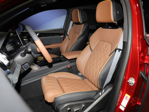 2021DM 2.0T (q)ܰ愓(chung)Ş g