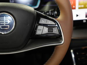 2021DM 2.0T ܰ愓Ş п؅^