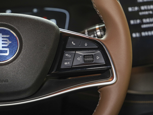 2021DM 2.0T (q)ܰF {(dio)(ji)