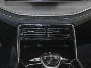 2021DM 2.0T (q)ܰF {(dio)L(fng)