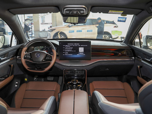 2021DM 2.0T (q)ܰF (ni)ȫ