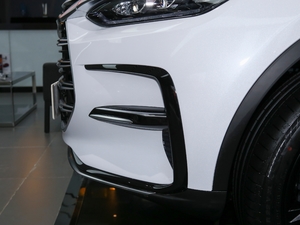 2021DM 2.0T (q)ܰ愓(chung)Ş (x)(ji)^