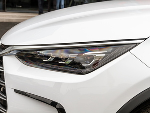 2021DM 2.0T (q)ܰs (x)(ji)^