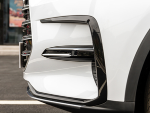 2021DM 2.0T (q)ܰs (x)(ji)^