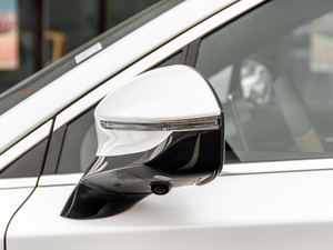 2021DM 2.0T (q)ܰs (x)(ji)^