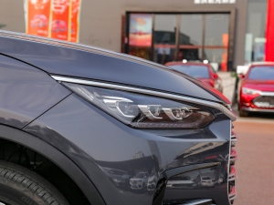 2021DM-i 112KM F (x)(ji)^