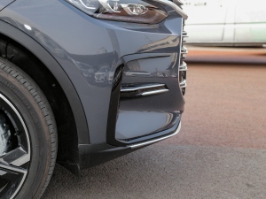 2021DM-i 112KM F (x)(ji)^