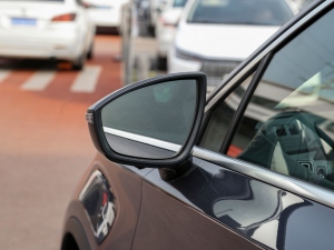 2021DM-i 112KM F (x)(ji)^