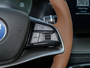 2021DM-i 112KM F п؅^