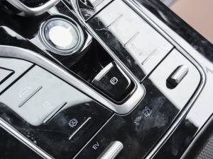 2021DM-i 52KM A v܇Ƅ