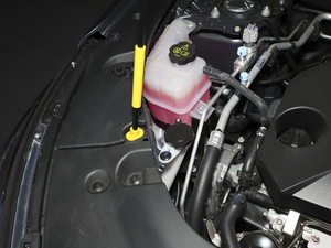 2021(jng) 1.5T ԄӺA 