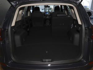 2021 1.5T ԄӺA g