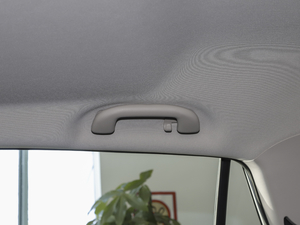 2021 1.5T ԄӾӢ g