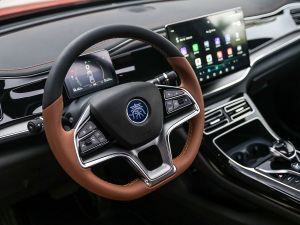 2021DM-i 120KM Ş п؅^