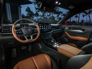 2021DM-i 120KM Ş п؅^