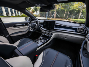 2021DM-i 120KM Ş п؅^