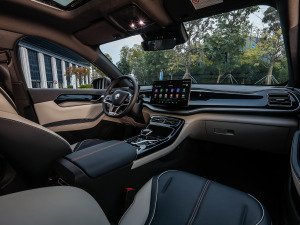 2021DM-i 120KM Ş п؅^