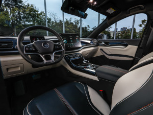 2021DM-i 120KM Ş п؅^