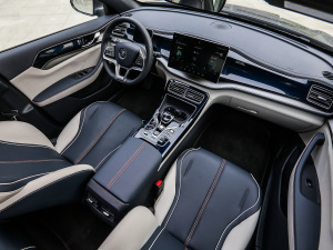 2021DM-i 120KM Ş п؅^