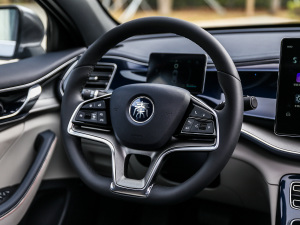 2021DM-i 120KM Ş п؅^