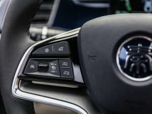 2021DM-i 120KM Ş п؅^