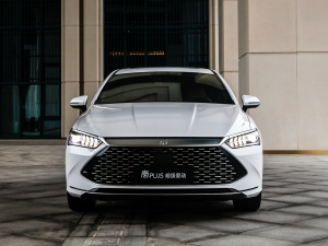 2021DM-i 120KM Ş w^