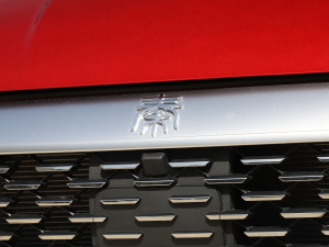 2021DM-i 55KM Ş (ji)^