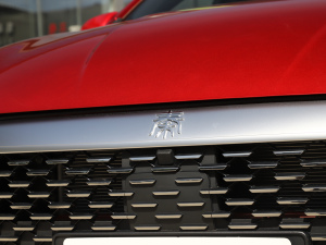 2021DM-i 55KM Ş (ji)^