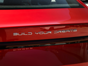 2021DM-i 55KM Ş (ji)^