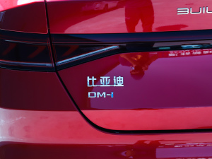 2021DM-i 55KM Ş (ji)^