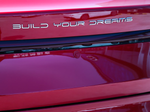 2021DM-i 55KM Ş (ji)^