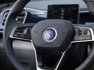 2021DM-i 55KM Ş п؅^(q)