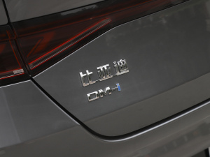 2021DM-i 120KM F (x)(ji)^