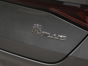 2021DM-i 120KM F (x)(ji)^