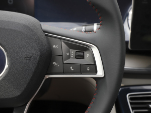 2021DM-i 120KM F п؅^