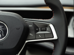 2021DM-i 55KM F {(dio)(ji)