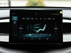 2021DM-i 55KM F {(dio){(dio)(ji)