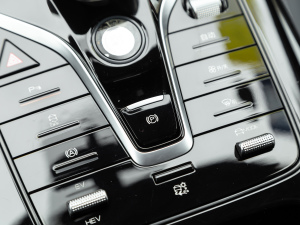 2021DM-i 55KM F v܇Ƅ