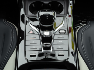 2021DM-i 55KM F п؅^(q)