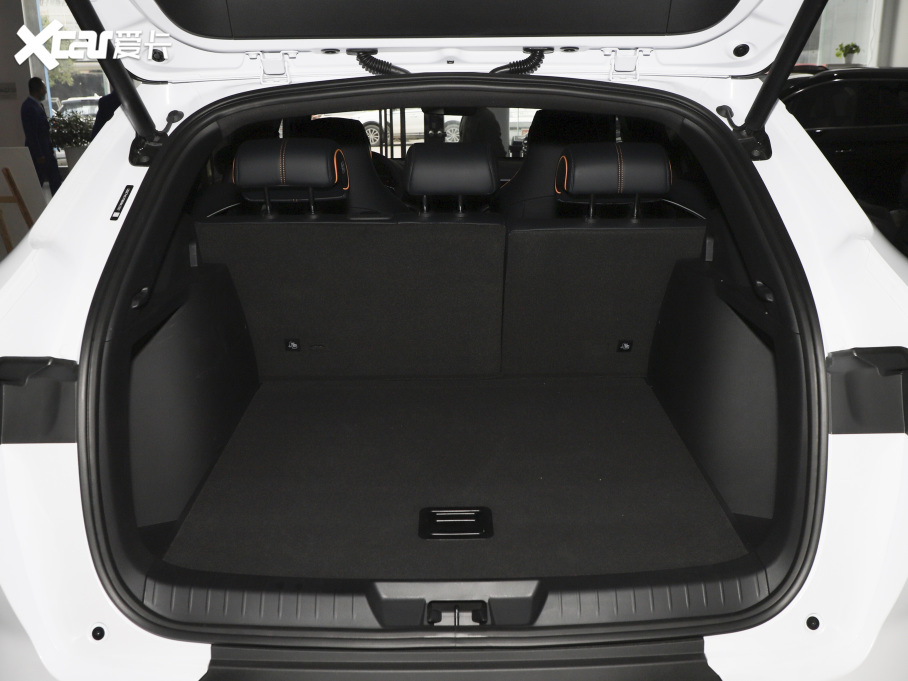 2021PLUSԴ DM-i 51KM s