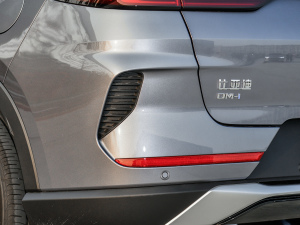 2021DM-i 110KM 콢PLUS ϸ