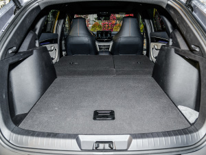 2021DM-i 110KM ŞPLUS g